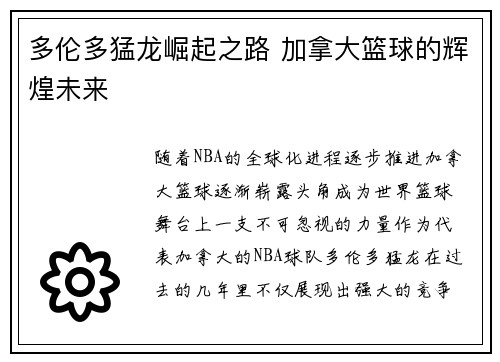 多伦多猛龙崛起之路 加拿大篮球的辉煌未来 多伦多猛龙崛起之路 加拿大篮球的辉煌未来